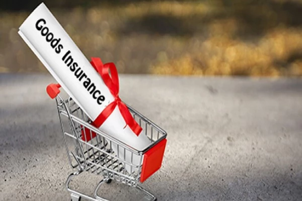 goods insurance service in Vadodara